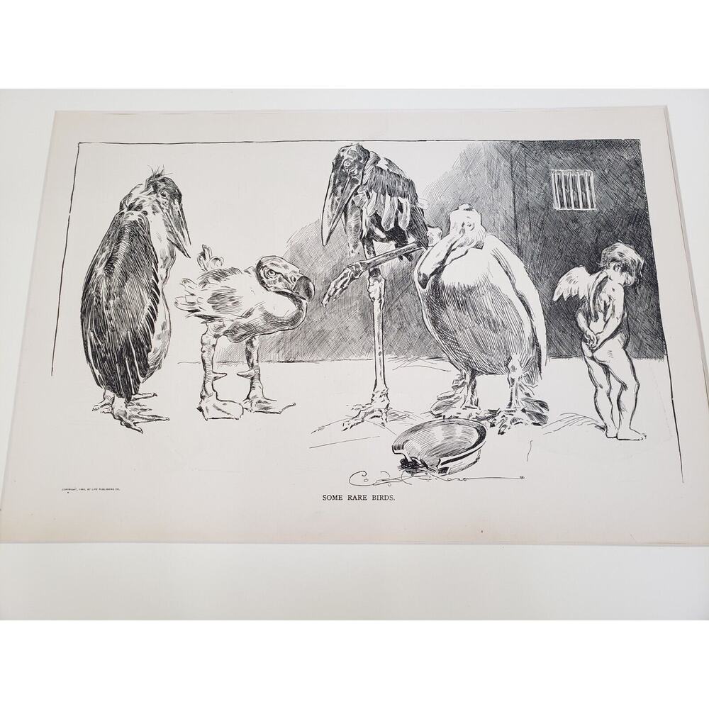 RARE 1906 PRINT Gibson Girls Art Print SOME RARE BIRDS‎ Charles Dana Gibson